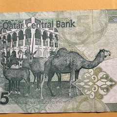 Qatar 5 Riyals Current Circulated Paper Money – Sig combination B