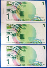 Lot of 3 Israel 1 New Sheqel Banknotes Rambam 1986 w/Excess paper & Sheet Letter