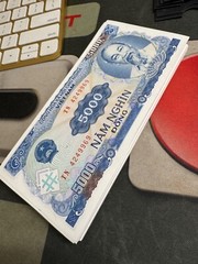 Vietnam 5000 Dong Banknote 1991, CIRCULATED Currency, World Paper Money P-108
