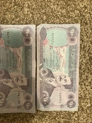 1995 Central Bank Of Iraq Two Hundred Fifty (250) Dinars Note LOT OF 5 Bills–A