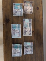 SADDAM HUSSEIN IRAQ IRAQI CURRENCY 250 DINARS BANKNOTE (6 BILLS)