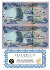 Iraq 5,000 Dinars Banknote, 2023, UNC qty 2 (10,000 IQD total) W/ COA USA NEW