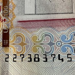 2014 United Arab Emirates 100 Dirhams Banknote Currency Excellent Condition