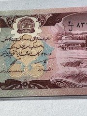 1991 Afghanistan 100 Afghanis P# 58c Banknote