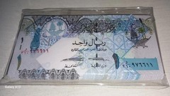 38 Pcs Qatar 1 Riyal Bundle, 2008-2015 P-28 Birds Banknote Unc