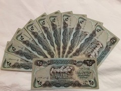 Lot of 10 Pieces of Iraq 25 Dinars Banknotes 1981-82 AUNC-UNC