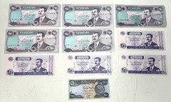 Lot of 10 Central Bank of Iraq 250 Dinar Denomination Paper Money Currency Notes