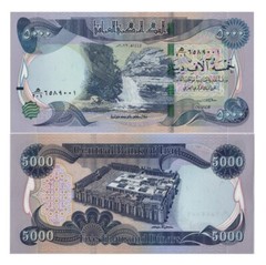 Iraq 5,000 Dinars Banknote, 2023, UNC qty 2 (10,000 IQD total) W/ COA USA NEW