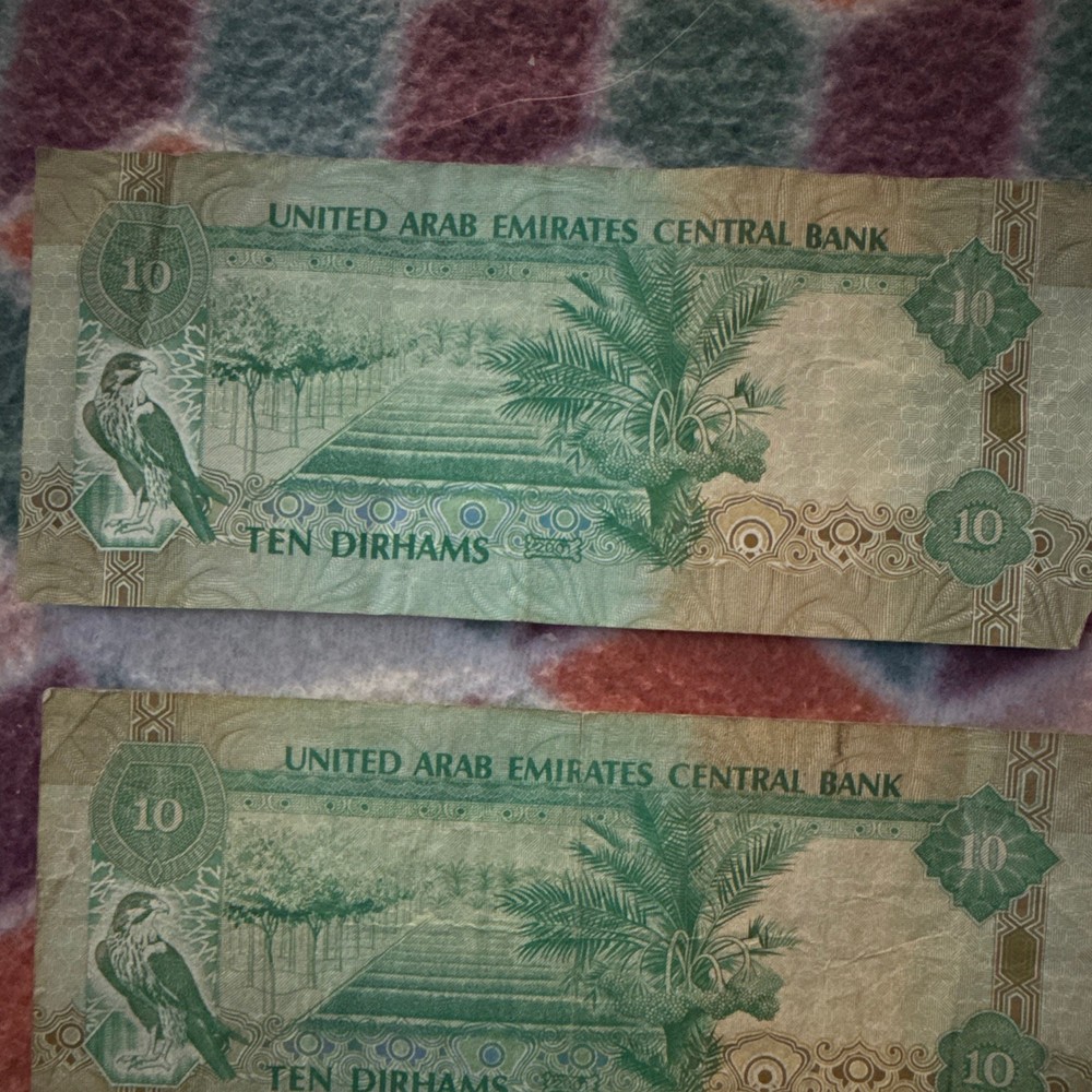 United Arab Emirates 10 Dirhams Banknotes – Lot of 2, Circulated, Uncertified