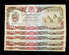 5 pcs x Afghanistan 1000 Afghanis (1991/ P-61)-Uncirculated currency/banknotes