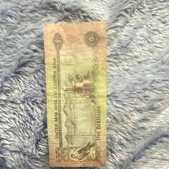 United Arab Emirates Central Bank 5 Dirhams Banknote Circulated Ungraded