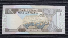 SAUDI ARABIA 1 Riyal 1983 P21d UNC Banknote