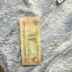 United Arab Emirates Central Bank 5 Dirhams Banknote Circulated Ungraded