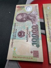 NEW Vietnam 10000 Dong CIRCULATED Currency, Polymer Mixed Years 2023, P 119