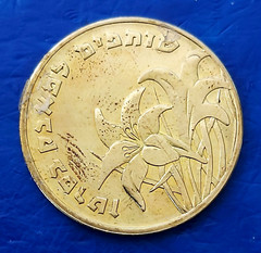 Israel Token “The Israel Cancer Association (ICA)” Coin 25mm Brass