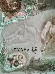 25 Dinar Dinars Iraq Banknotes Iraqi Paper Money 1980 P-66b p66 World Saddam UNC