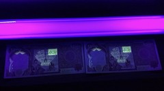 1/4 MILLION Iraq Dinar – 250,000 IQD (25,000 x 10)
