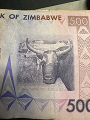 Zimbabwe 500 Dollars Banknote, CIRCULATED Currency, Paper Money, P-70, 2007