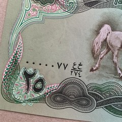 Iraq, 25 Dinars Banknote Low Serial Number 0000077 1982 P72 Arabian Horses B999