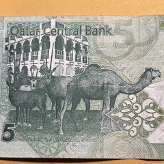 Qatar 5 Riyals Current Circulated Paper Money – Sig combination C