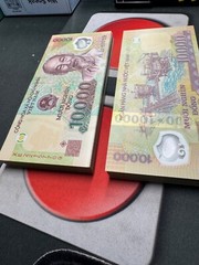 NEW Vietnam 10000 Dong CIRCULATED Currency, Polymer Mixed Years 2023, P 119