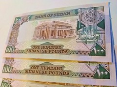 SUDAN 100 POUNDS 1988 P 44 UNC ( X 50 PCS) from bundle bank notes